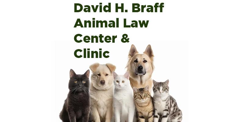 Cats and Dogs Animal Law Center title