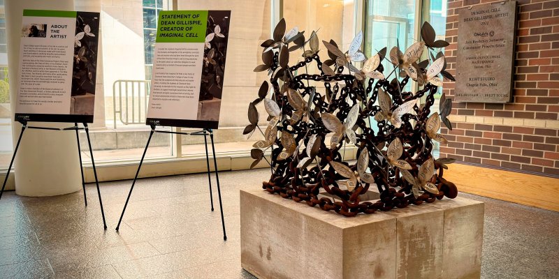Imaginal Cell at CSU Law